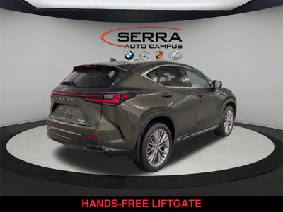 2023 Lexus NX 350 Luxury