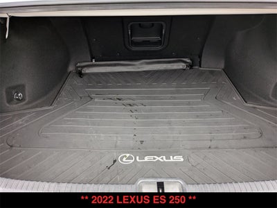 2022 Lexus ES 250