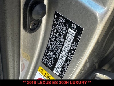 2019 Lexus ES 300h Luxury
